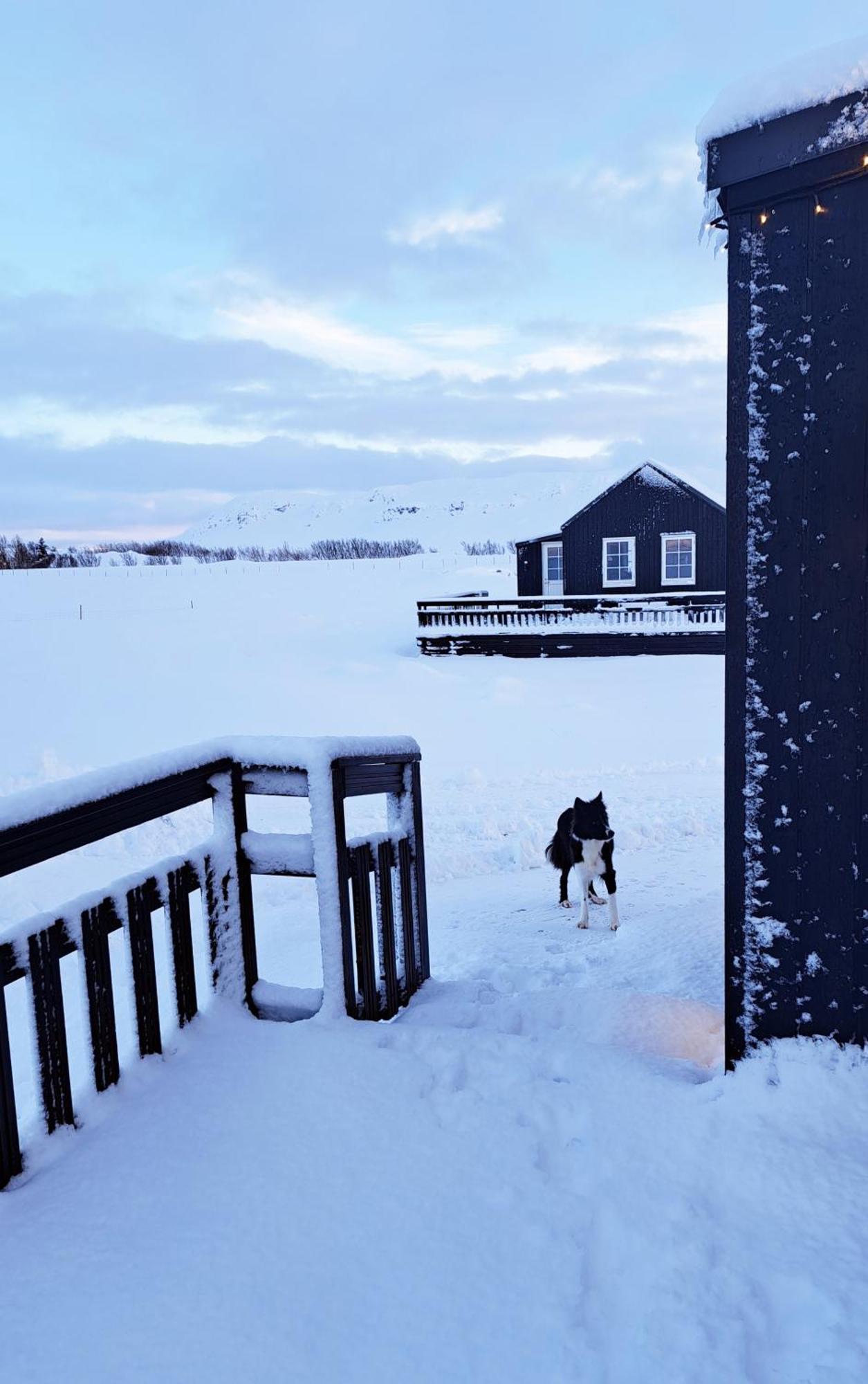 Gislaholt Villa Borgarnes Luaran gambar